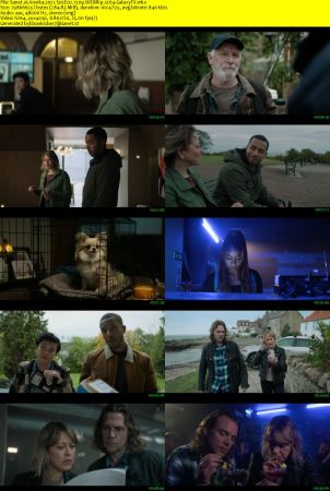 Annika 2021 S02 720p WEBRip x264-GalaxyTV