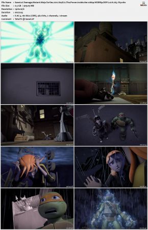 Teenage Mutant Ninja Turtles 2012 S04