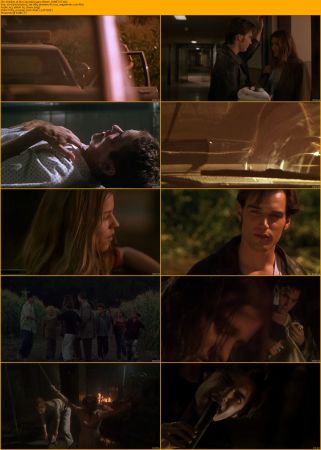 Children of the Corn Collection 1080p BRRip x264 AC3 DiVERSiTY