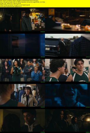 Harlan Cobens Shelter S01E08 WEB H264-TVD