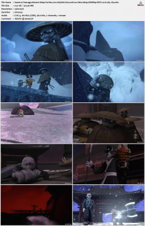 Teenage Mutant Ninja Turtles 2012 S05 1080p WEBRip DDP 2.0 x265-iVy