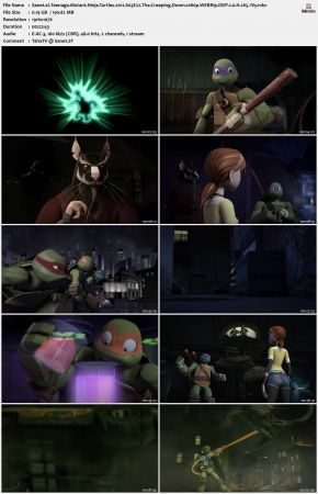 Teenage Mutant Ninja Turtles 2012 S03 1080p WEBRip DDP 2.0 x265-iVy