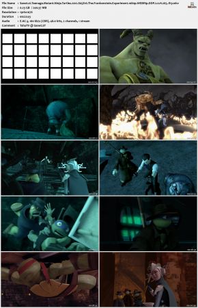 Teenage Mutant Ninja Turtles 2012 S05 1080p WEBRip DDP 2.0 x265-iVy