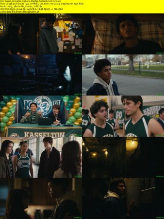 Harlan Cobens Shelter S01E08 XviD-AFG