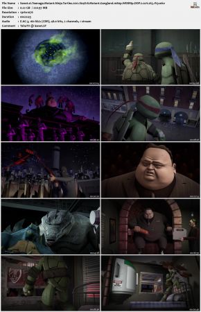Teenage Mutant Ninja Turtles 2012 S04