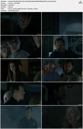 The Mist S01 1080p AMZN WEBRip DDP 2 0 x265-iVy