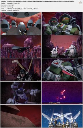 Teenage Mutant Ninja Turtles 2012 S04