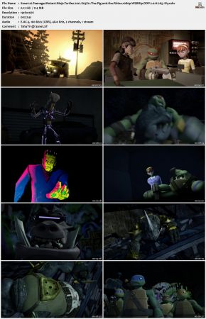 Teenage Mutant Ninja Turtles 2012 S03 1080p WEBRip DDP 2.0 x265-iVy