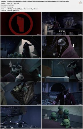 Teenage Mutant Ninja Turtles 2012 S05 1080p WEBRip DDP 2.0 x265-iVy