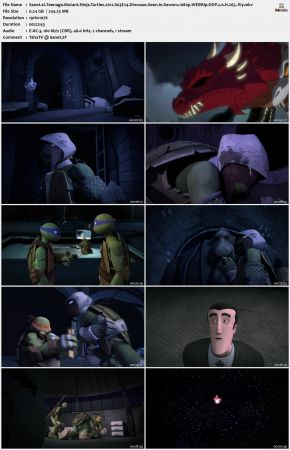 Teenage Mutant Ninja Turtles 2012 S03 1080p WEBRip DDP 2.0 x265-iVy