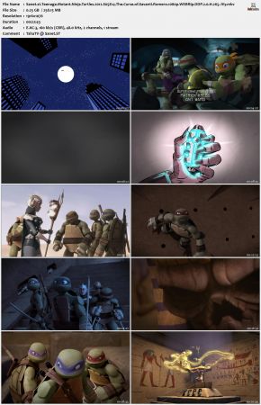 Teenage Mutant Ninja Turtles 2012 S05 1080p WEBRip DDP 2.0 x265-iVy
