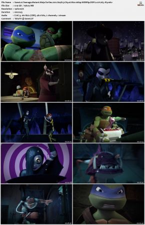 Teenage Mutant Ninja Turtles 2012 S04
