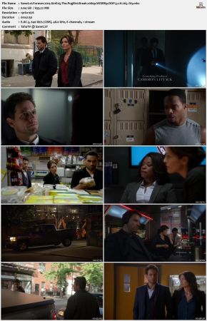 Forever 2014 S01 1080p WEBRip DDP 5 1 x265-iVy
