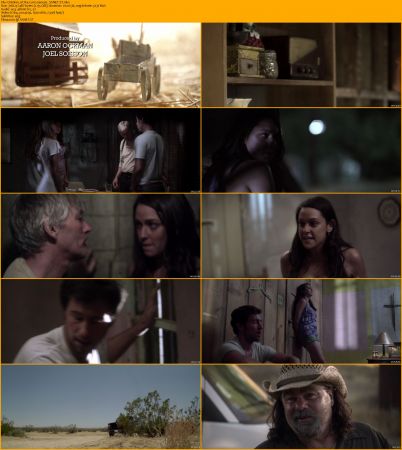 Children of the Corn Collection 1080p BRRip x264 AC3 DiVERSiTY