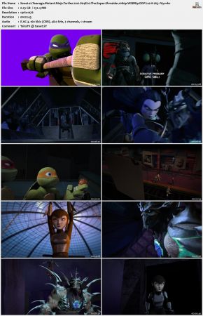 Teenage Mutant Ninja Turtles 2012 S04