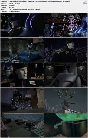 Teenage Mutant Ninja Turtles 2012 S03 1080p WEBRip DDP 2.0 x265-iVy