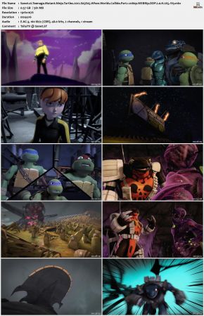 Teenage Mutant Ninja Turtles 2012 S05 1080p WEBRip DDP 2.0 x265-iVy