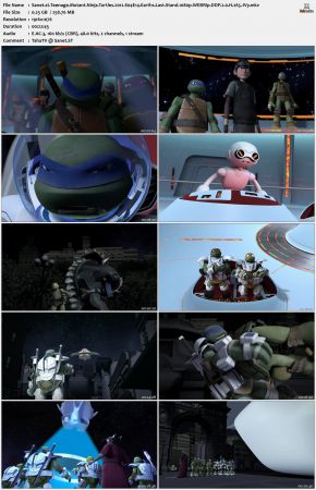 Teenage Mutant Ninja Turtles 2012 S04