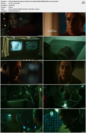 Quantum Leap 2022 S01 1080p AMZN WEBRip DDP 5 1 x265-iVy