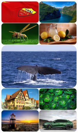 Beautiful Mixed Wallpapers Pack 866