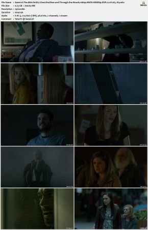 The Mist S01 1080p AMZN WEBRip DDP 2 0 x265-iVy
