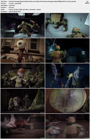 Teenage Mutant Ninja Turtles 2012 S03 1080p WEBRip DDP 2.0 x265-iVy