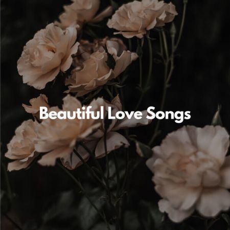 Various Artists - Beautiful Love Songs (2023) FLAC/MP3