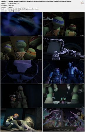 Teenage Mutant Ninja Turtles 2012 S03 1080p WEBRip DDP 2.0 x265-iVy