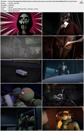 Teenage Mutant Ninja Turtles 2012 S03 1080p WEBRip DDP 2.0 x265-iVy