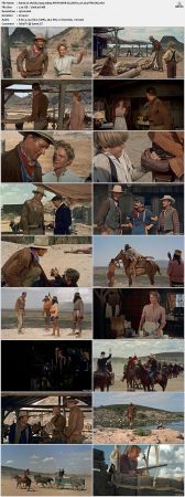 Hondo 1953 1080p PMTP WEB-DL DDP 5.1 H264-PiRaTeS