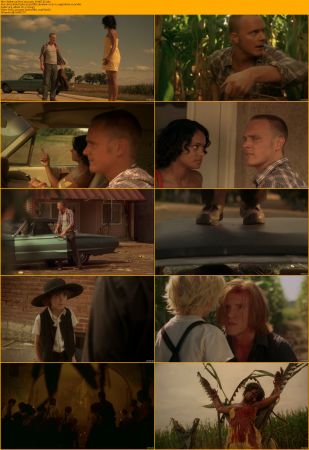 Children of the Corn Collection 1080p BRRip x264 AC3 DiVERSiTY