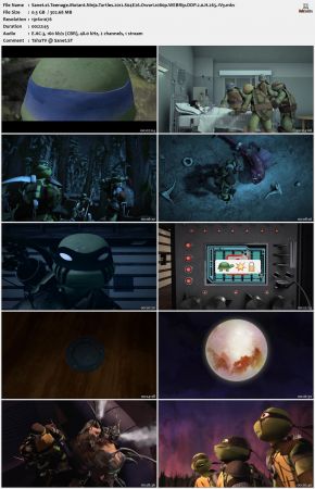 Teenage Mutant Ninja Turtles 2012 S04