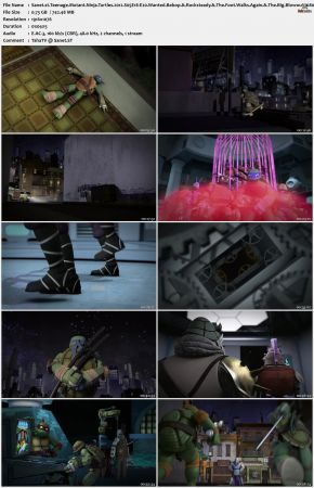 Teenage Mutant Ninja Turtles 2012 S05 1080p WEBRip DDP 2.0 x265-iVy