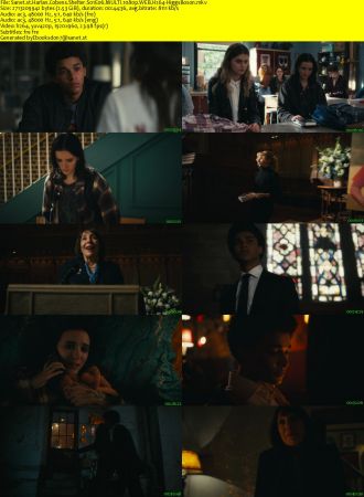Harlan Cobens Shelter S01E06 MULTI 1080p WEB H264-HiggsBoson