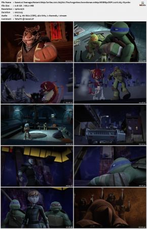 Teenage Mutant Ninja Turtles 2012 S05 1080p WEBRip DDP 2.0 x265-iVy