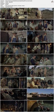 The Sons of Katie Elder 1965 1080p BluRay DDP 2.0 H265-iVy