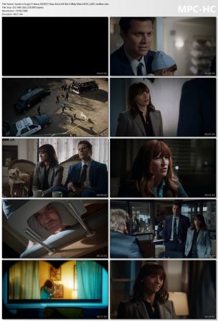 Angie Tribeca S02 1080p Web HEVC x265-JoeBee
