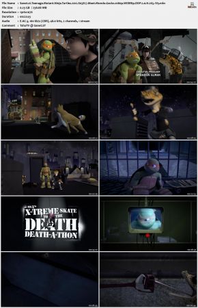 Teenage Mutant Ninja Turtles 2012 S03 1080p WEBRip DDP 2.0 x265-iVy