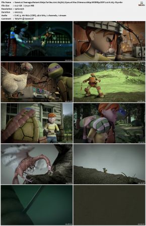 Teenage Mutant Ninja Turtles 2012 S03 1080p WEBRip DDP 2.0 x265-iVy