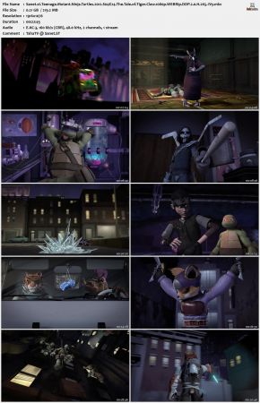 Teenage Mutant Ninja Turtles 2012 S04