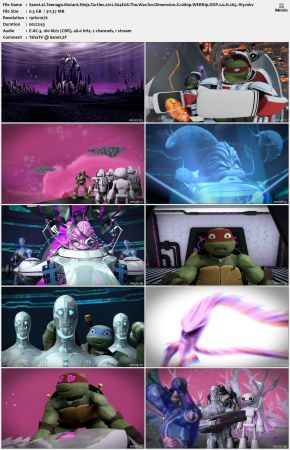 Teenage Mutant Ninja Turtles 2012 S04