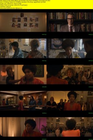The Other Black Girl S01 720p HULU WEBRip x264-GalaxyTV