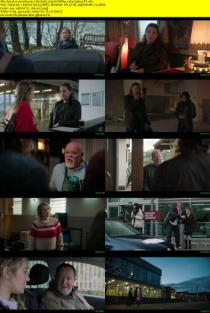 Annika 2021 S02 720p WEBRip x264-GalaxyTV