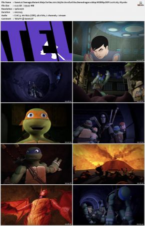 Teenage Mutant Ninja Turtles 2012 S05 1080p WEBRip DDP 2.0 x265-iVy