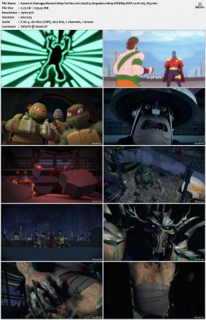 Teenage Mutant Ninja Turtles 2012 S04
