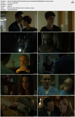 The Mist S01 1080p AMZN WEBRip DDP 2 0 x265-iVy
