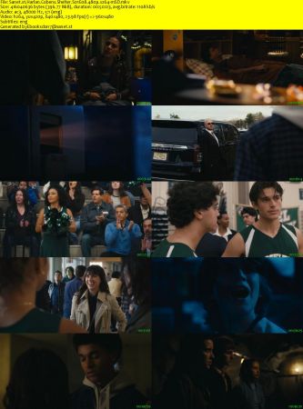 Harlan Cobens Shelter S01E08 480p x264-mSD