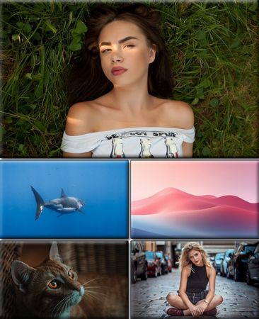 Computer Desktop Wallpapers Collection. Part (2944)