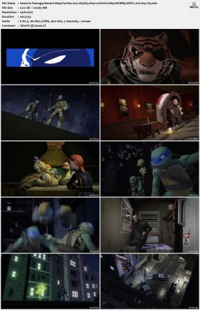 Teenage Mutant Ninja Turtles 2012 S05 1080p WEBRip DDP 2.0 x265-iVy