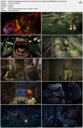 Teenage Mutant Ninja Turtles 2012 S03 1080p WEBRip DDP 2.0 x265-iVy